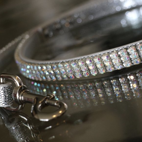 Runway Ready - Glammed Out Pet Leash - Picture 5 of 10